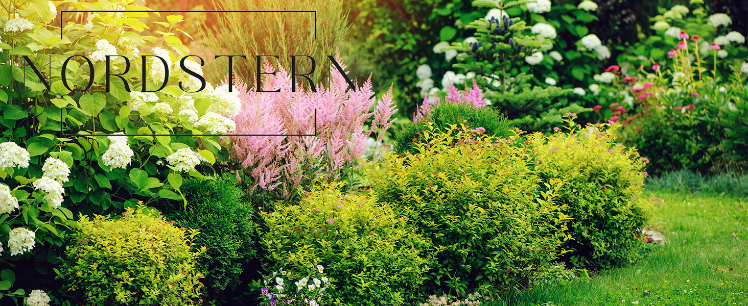 Nordstern® опора для рослин, металева, набір 2 шт., ржава, велика 45x50 см, для багаторічників