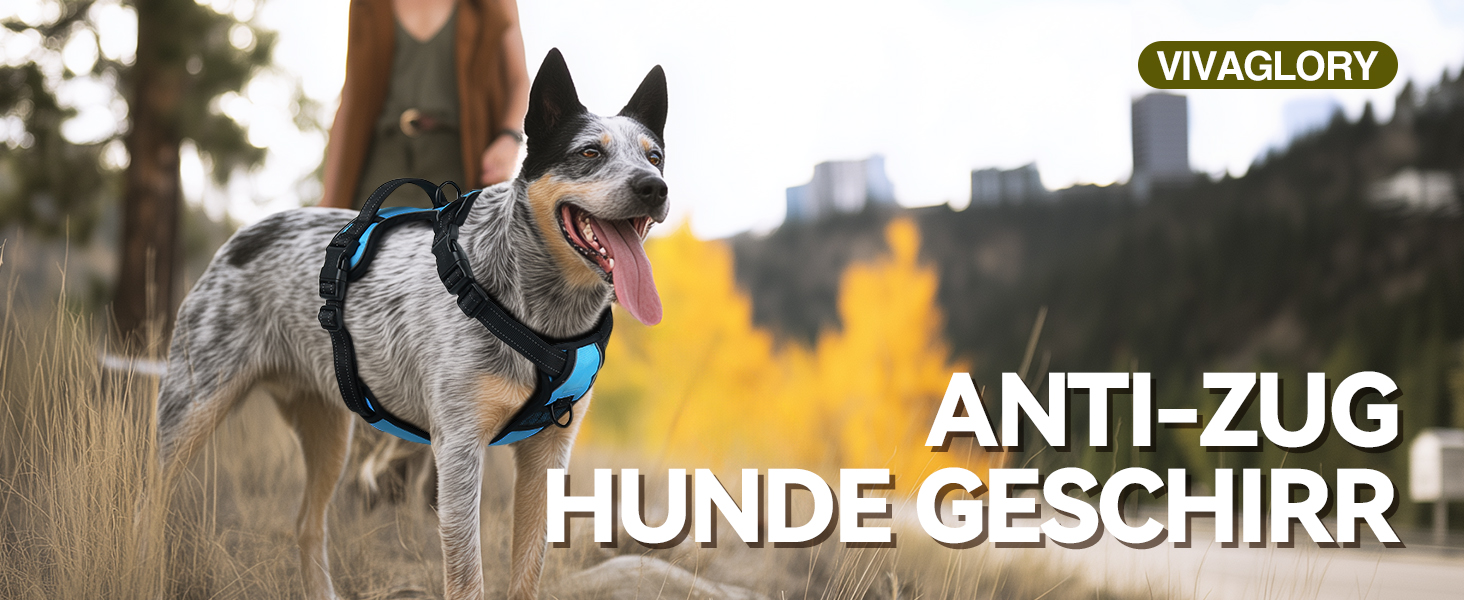 Шлейка для собак VIVAGLORY Easefit, анти-тяга, з ручкою, для тренувань та прогулянок, з м'якою підкладкою, не тягне, захист від вислизання, чорна, M (51-74 см обхват грудної клітки)