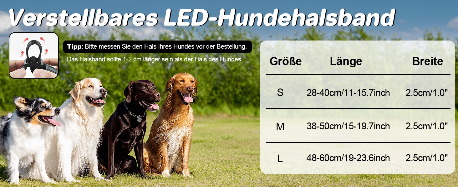 LED-нашийник для собак з підзарядкою USB, вологостійкий, регульований, 3 режими, для малих, середніх та великих собак (Чорний, L(48-60см))