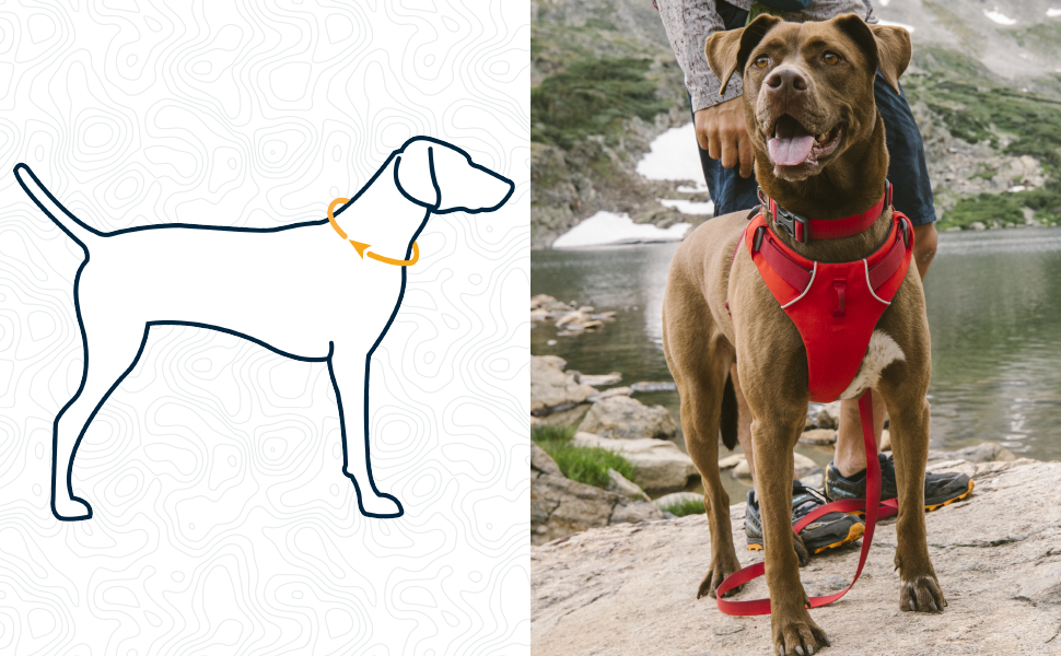 Нашийник для собак RUFFWEAR Front Range, міцний матеріал Tubelok, карабін з алюмінію, зручна застібка, яскравий колір Campfire Orange, розмір L (51-66 см)