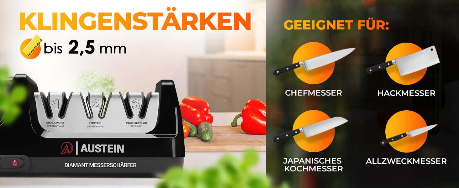 Електричний точило для ножів Diamant TG2202 - 3 фази, 15 градусів, з магнітним збирачем стружки