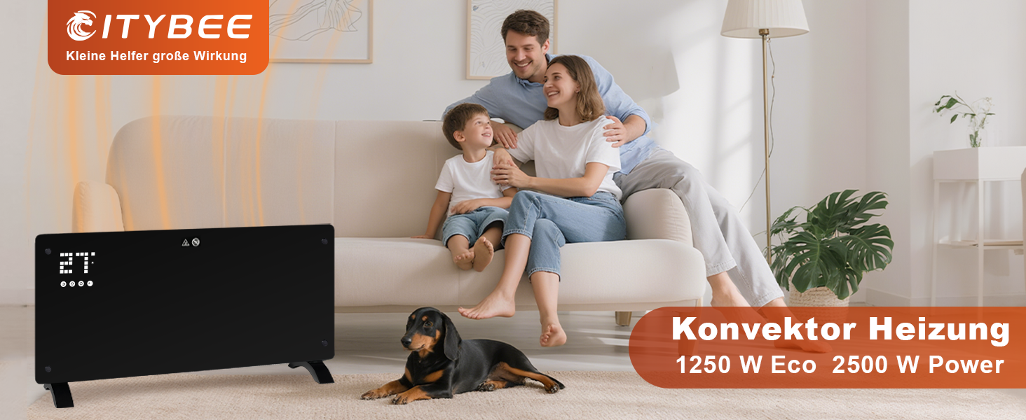 Електричний конвектор Citybee 2500W з термостатом, пульт, таймер, захист від перегріву, 2 роки гарантії