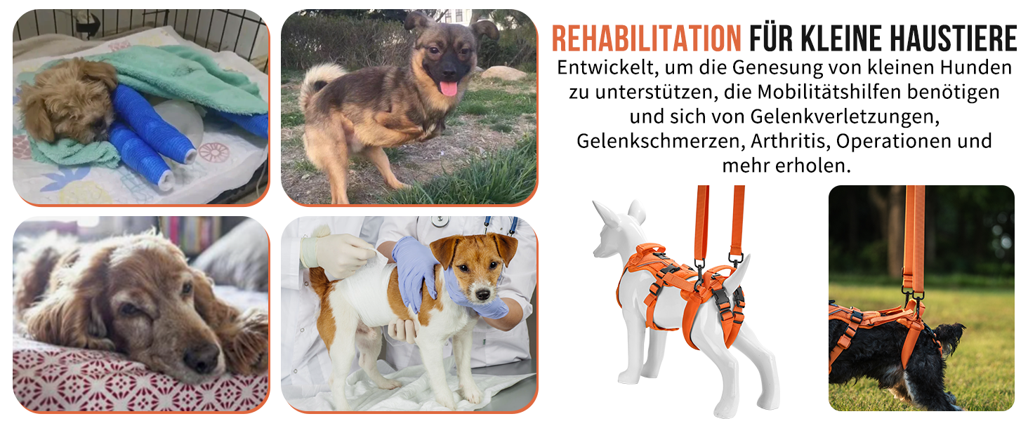 Шлейка для собак OneTigris Hopper для підтримки та реабілітації, XS (S:8-15кг, Обіх:36-51см, Грудка:51-69см), Помаранчевий