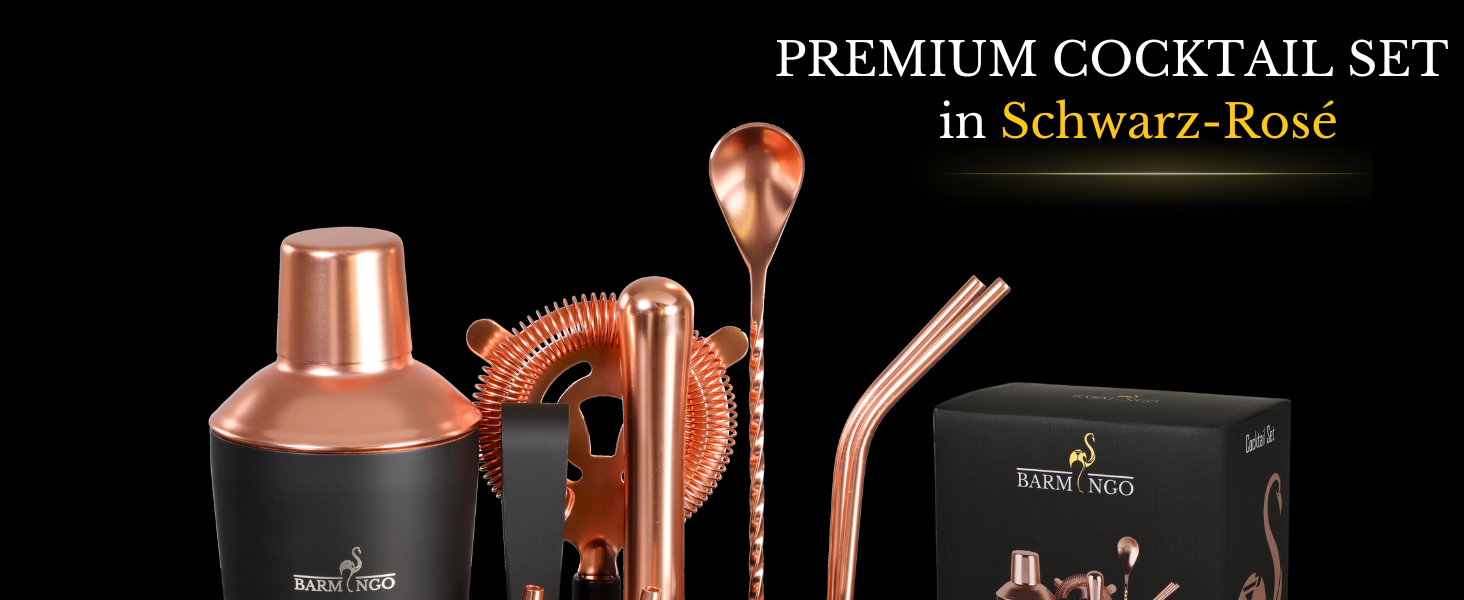 BARMINGO Stainless Steel Cocktail Set - 11 Piece Bar Set with Stand & Accessories | Cocktail Shaker Set | Bartender Set | Cocktail Mixing Set | Gift Set