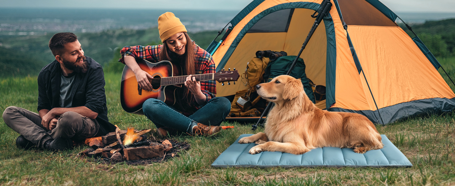 Водонепроникний килимок для собак Western Home: зручний, портативний, 110x68 см (Блакитний)