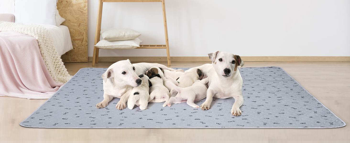 2 шт. вбиральні підкладки для цуценят, 80х92 см, водонепроникні та миючі. Килимки для навчання собак, неслизькі килимки для дивана та підлоги (2 шт.)