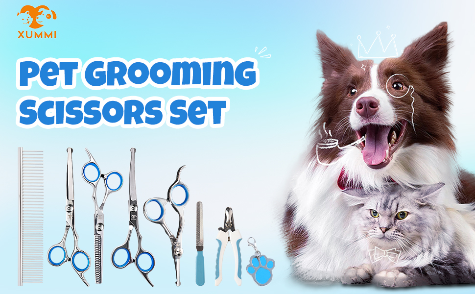 Професійна ножиця для грумінгу собак та котів, 6.5 дюймів, блакитна