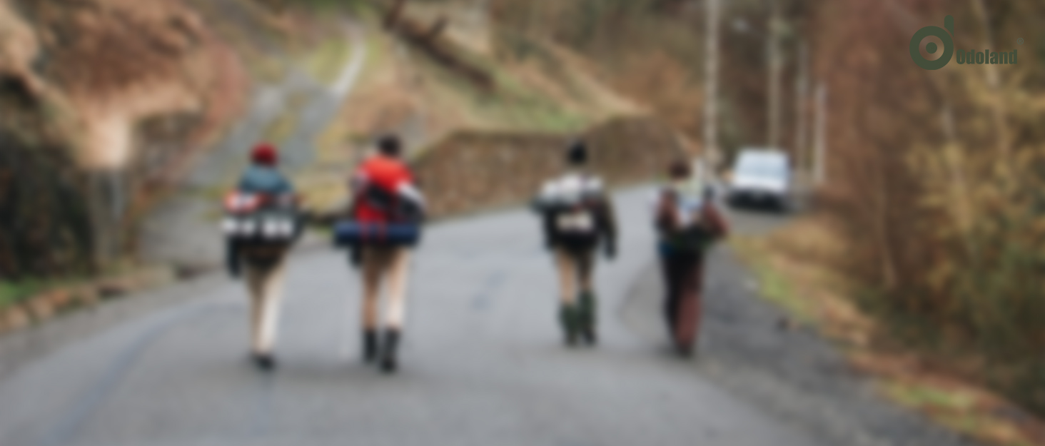 Набір кухонного посуду для кемпінгу Odoland 7 предметів: каструля, сковорода, тарілки, миски, столові прибори з нержавіючої сталі