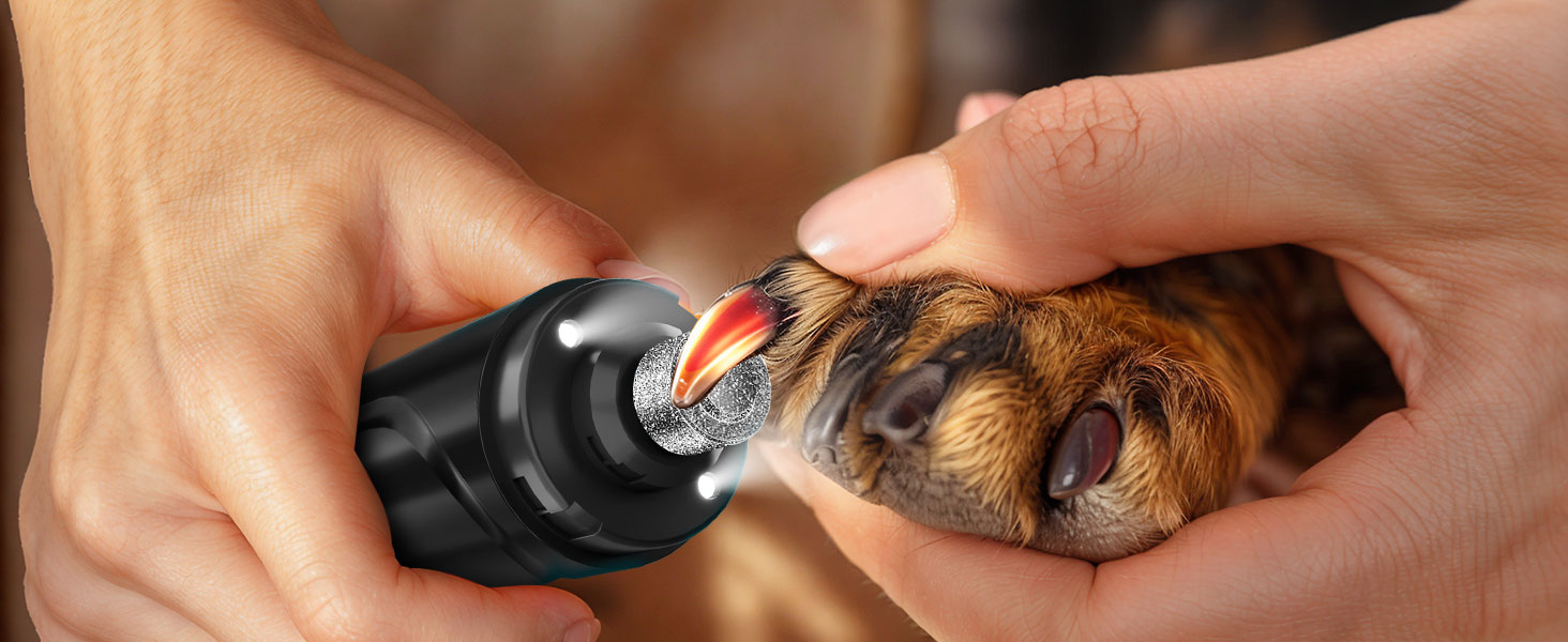 Електричний точилка для кігтів собак YABIFE - тиха, 3 швидкості, для маленьких та великих собак та котів