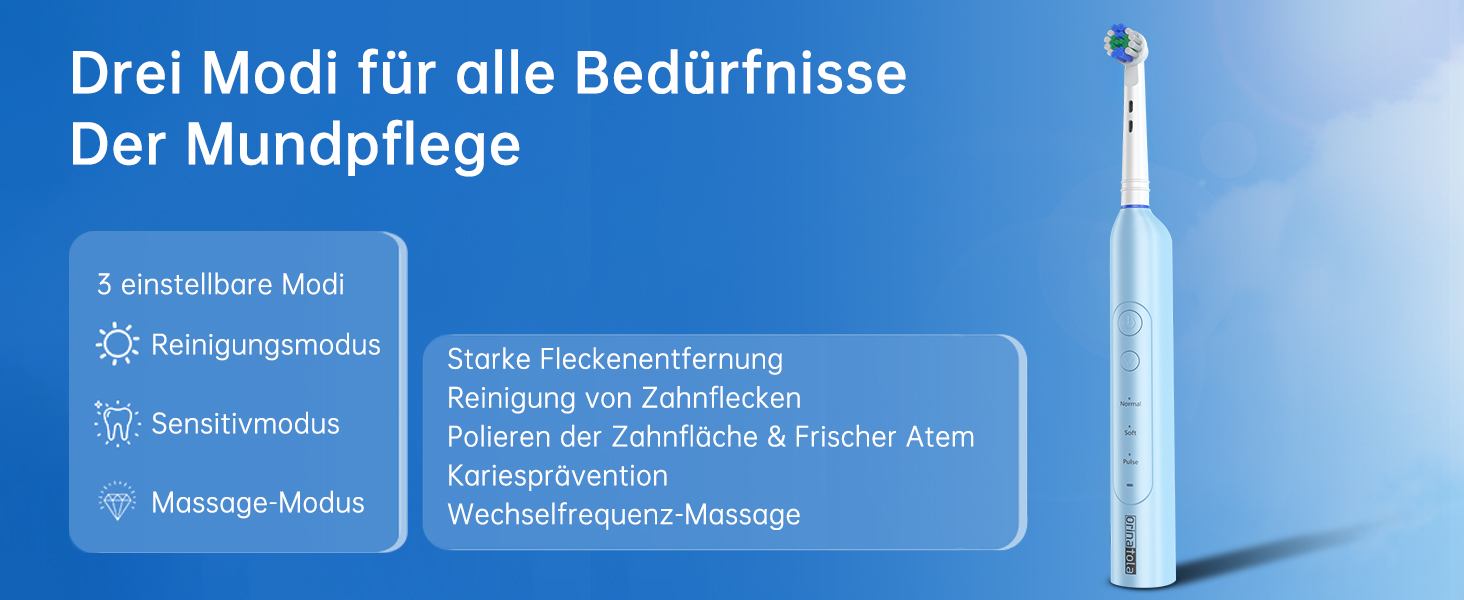 Електрична зубна щітка для дорослих Rotierende з 8 насадками, 3 режимами чищення, акумулятором на 50 днів та Smart-таймером 2 хв - Чорна