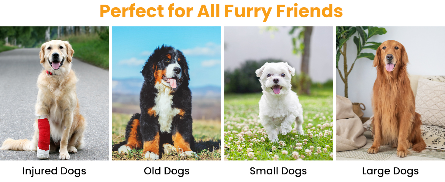 Рампа для собак у машину, розкладна, 180 см, широка 44 см, для великих та середніх собак до 110 кг, антиковзка, для авто, SUV, вантажівок та зовнішніх сходів