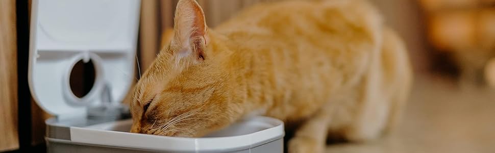 Автоматичний годівниця для котів та маленьких собак Cat Mate C200 з таймером, 2 миски, білий, з акумулятором, до 400г на порцію