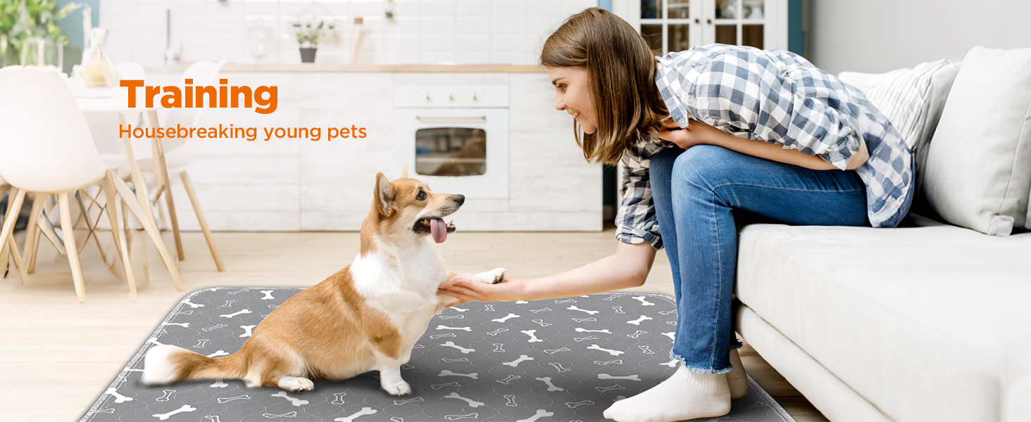 Підкладки для тварин Baodan, 2 шт. 90x60 см, швидко поглинаючі, для собак, котів, морських свинок