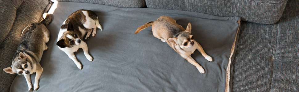 Персоналізована ковдра для собак з іменем, XL, 130x160 см, м'яка ковдра для собак, індивідуальний принт