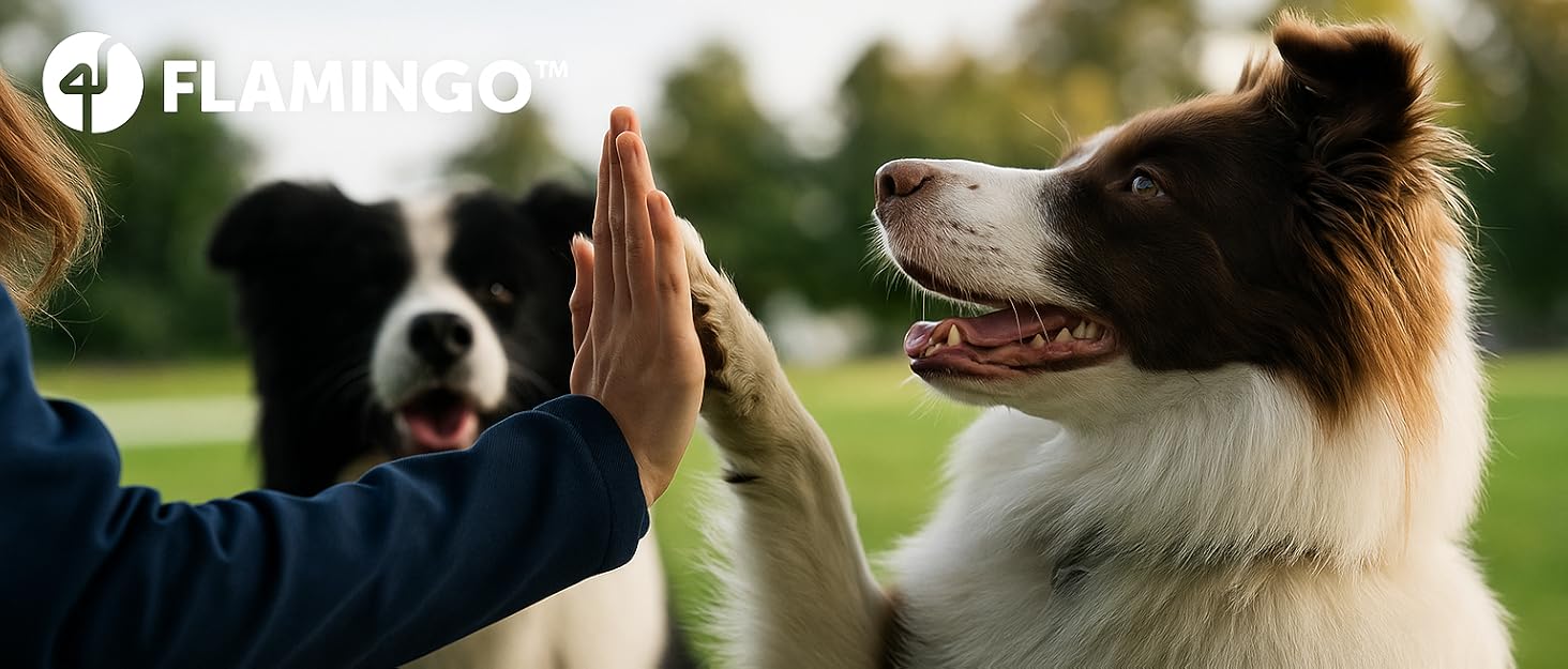 Професійний інструмент для стрижки кігтів собак Flamingo Krallenschere - XL, для великих порід (лабрадори, німецькі вівчарки, ротвейлери, голден ретривери)