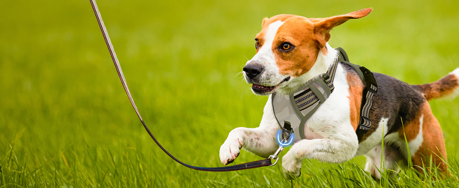 Шлейка для собак середніх порід Funfox, анти-тягу, з ручкою, світловідбиваючі смуги, без коміра, для собак середнього розміру (S, оливковий)