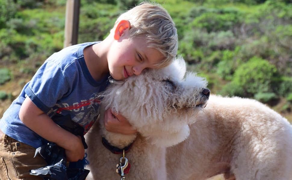 Килимок для собак Elropet Premium 30mm, антиковзаючий, для маленьких та великих собак, Vet Bed, розмір S (80x50 см), сірий зірки