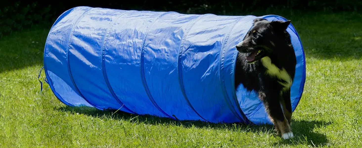 Набір для аджиліті NATIV LEMODO для собак | Тренування собак з бар'єрами та стрибковим кільцем | Легкий у транспортуванні аксесуар для аджиліті | Початковий набір у собачий спорт (з тунелем)