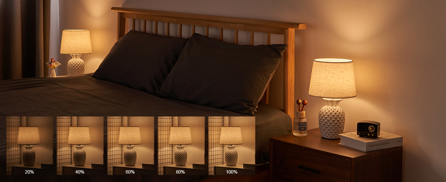 LED-лампа Egobasic на акумуляторі з пультом, таймером та регулюванням яскравості, змінне підсвічування, керамічна основа у вигляді ананаса, для спальні, кухні, вітальні