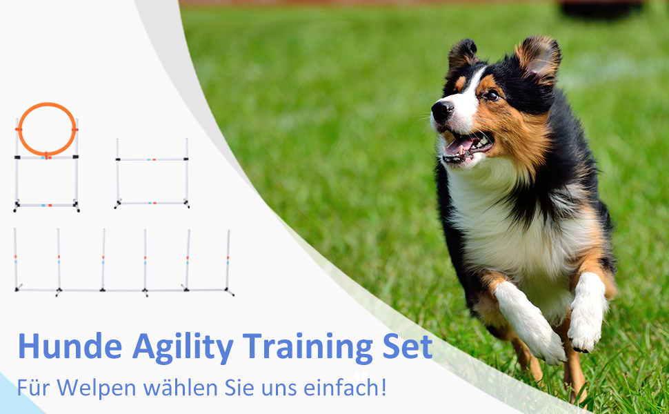 Набір для аджиліті для собак PawHut 3-TLG. Білий+Жовтий, для тренувань