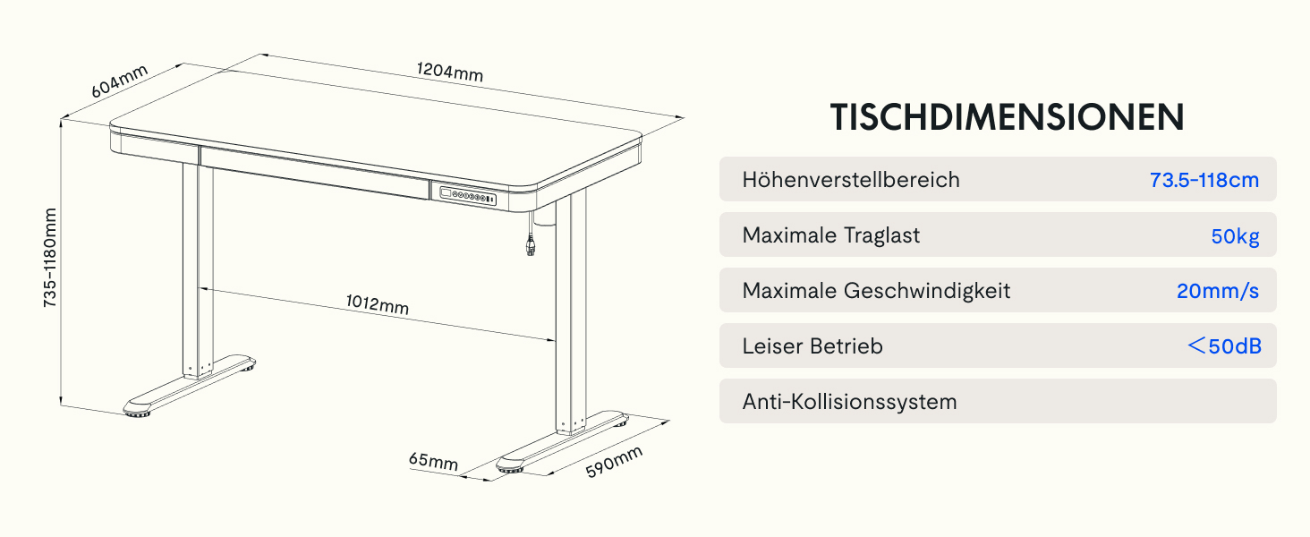 FLEXISPOT Electric Standing Desk with LED Display, Memory Function, USB Port & Drawer - 120x60cm Natural Oak