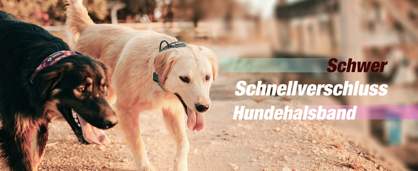 Нашийник для собак TSPRO Premium тактичний, великий, з металевою застібкою, камуфляжний синій, L (47-63.5 см)