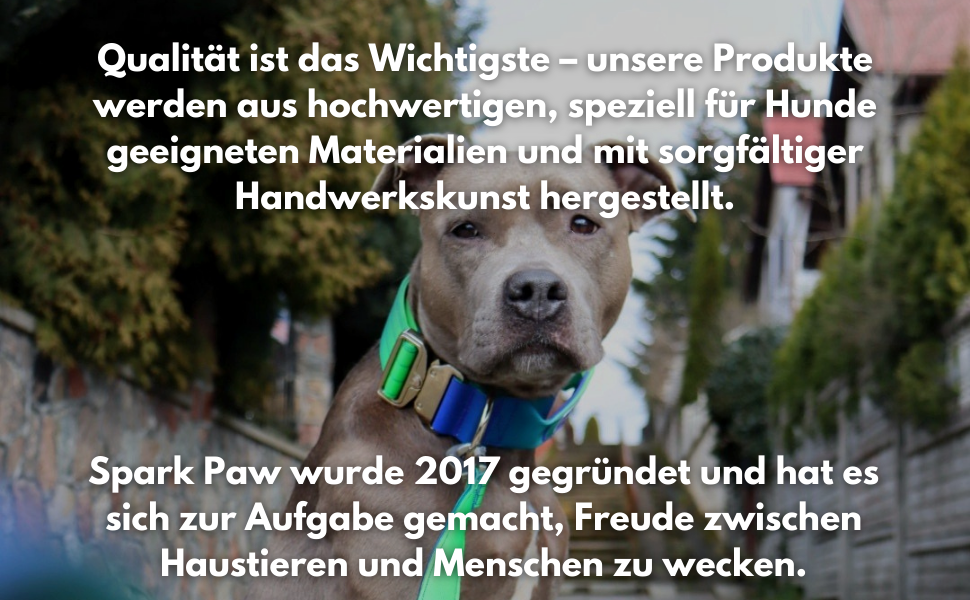 Spark Paws тактичний нашийник для собак, преміум-якість, міцний, товстий, для великих і середніх порід, лайм, 5 см