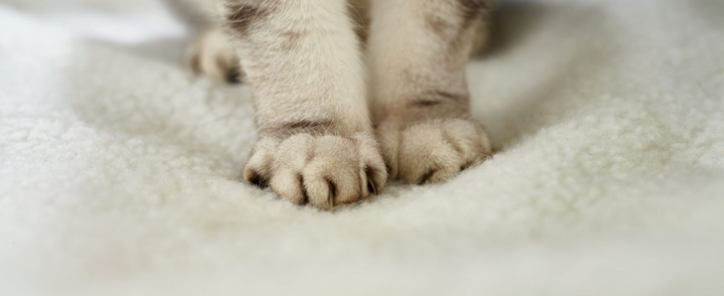 Самогріюча ковдра для собак PiuPet® 90x60 см: тепла, флісова, біла, для собак та котів