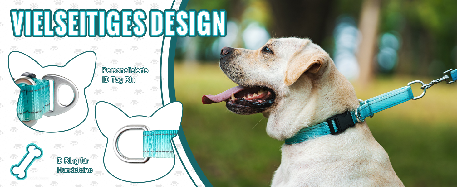 Відбиваюче повідець для собак Martin Gay, з зупинкою, для великих, середніх та малих собак, повідок-стопер для Whippets, Greyhounds, Saluki (Турквезевий, M)