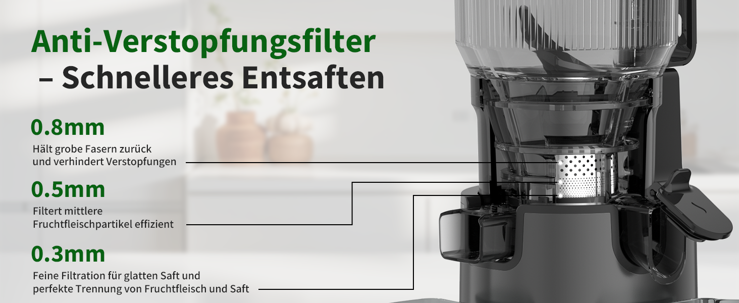 Шнекова соковижималка Entsafter Slow Juicer SJ-065, 400 Вт, XL-завантажувач 152 мм, Titanium Gray