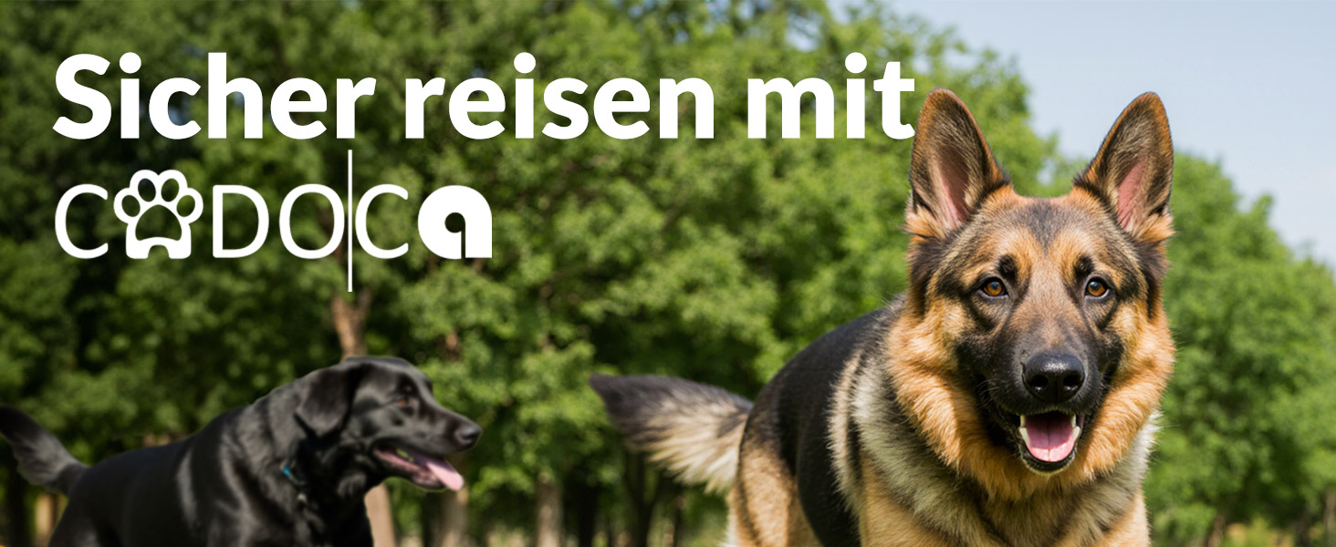 Транспортна переноска для собак XXXL, 101x70x70 см, складана, дихаюча, міцна, сіра