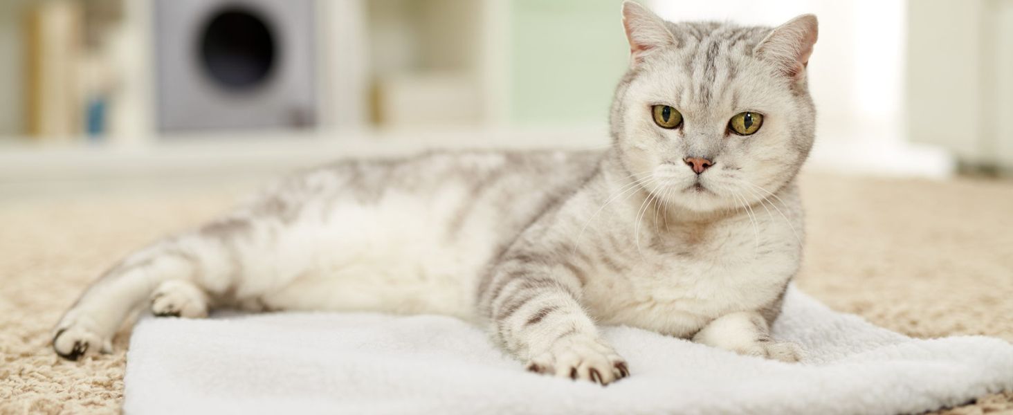 Самогріюча ковдра для собак PiuPet® 90x60 см: тепла, флісова, біла, для собак та котів