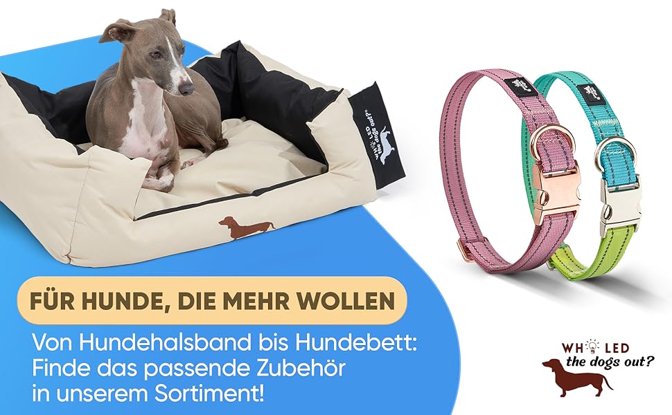 Водонепроникний нашийник для собак Leuchthal – з регульованим нейлоновим ремінцем та світловідбиваючим металевим затвором, 40-65 см, для великих собак, яскравий, з флуоресцентним швом