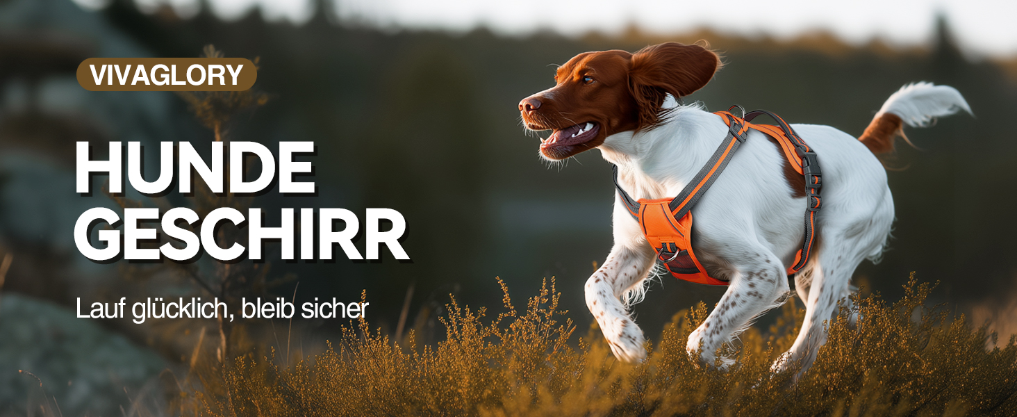 Шлейка для собак VIVAGLORY Easewalk, анти-тяга, для тренувань та прогулянок, з ручкою, анти-тяга для цуценят, XS, фіолетовий (25-51 см окружність грудної клітки)