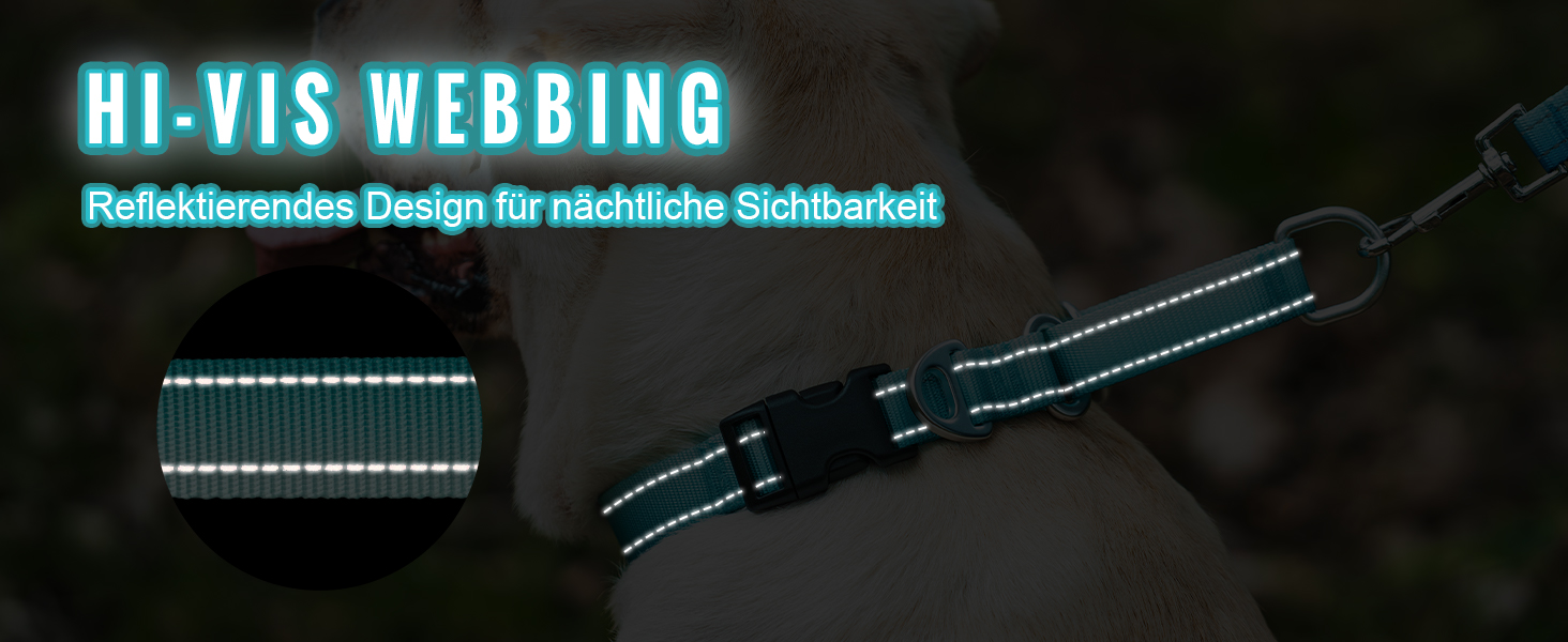 Відбиваюче повідець для собак Martin Gay, з зупинкою, для великих, середніх та малих собак, повідок-стопер для Whippets, Greyhounds, Saluki (Турквезевий, M)