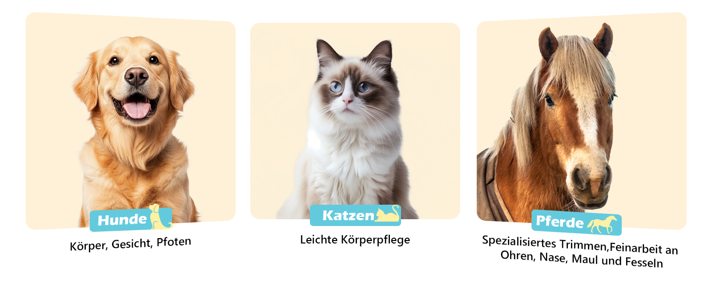 Машинка для стрижки собак Leise з LED-підсвіткою, 2 швидкості, для догляду за обличчям, вухами, лапами, блакитна