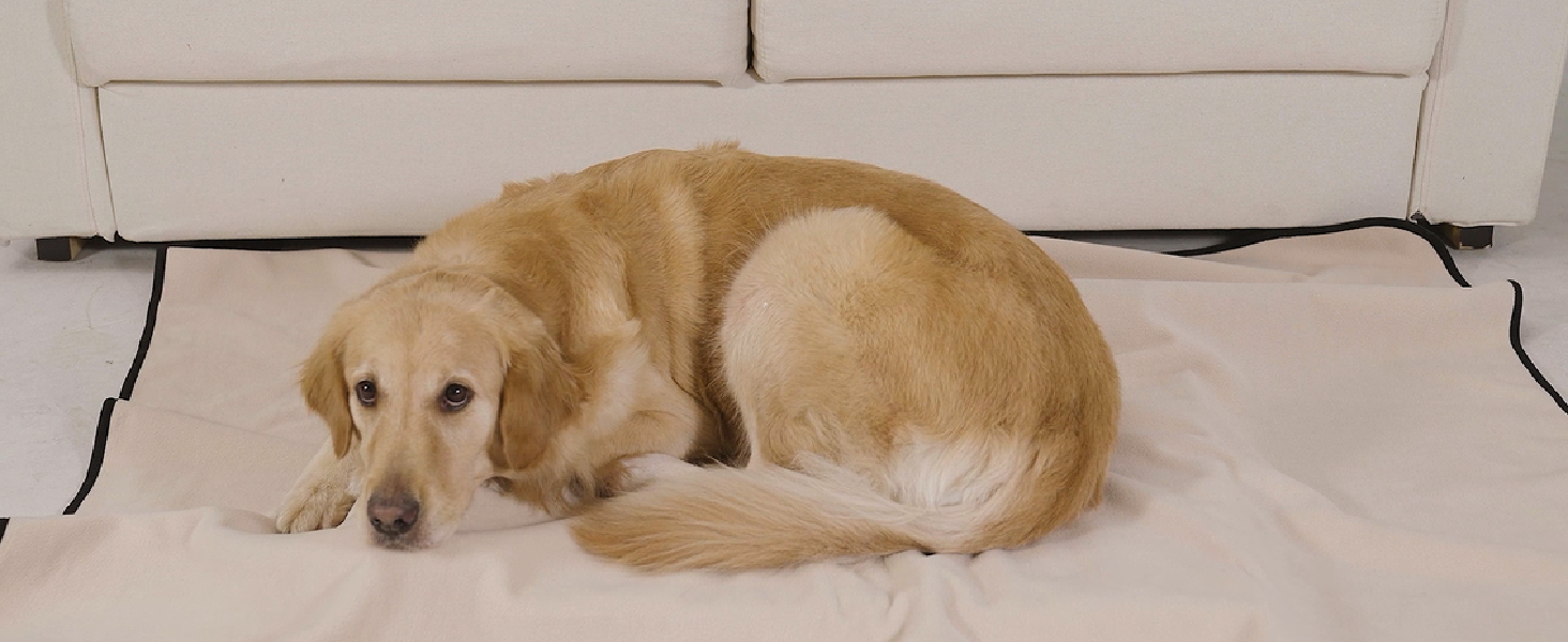 Водонепроникний коврик для собак PETTOM 152x127см, м'який коврик для великих і маленьких собак, захисний коврик для дивану, ліжка, автокрісла, меблів - 30°C, (L, Коричневий верблюд)