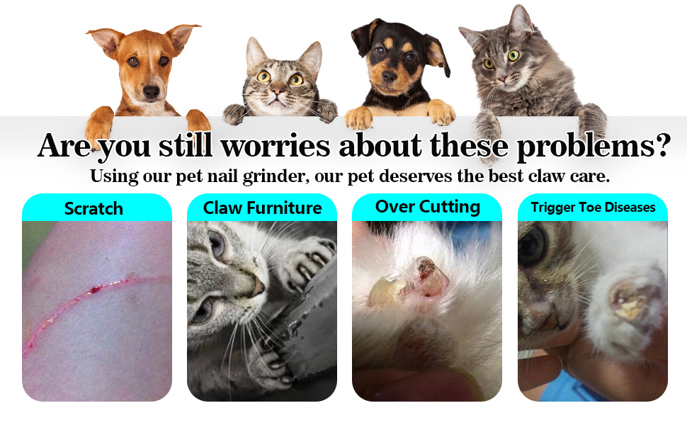 Електричний точило для кігтів собак та котів з LED-підсвічуванням та 2 колесами, чорний. Точило для кігтів, тихе, з низькою вібрацією.