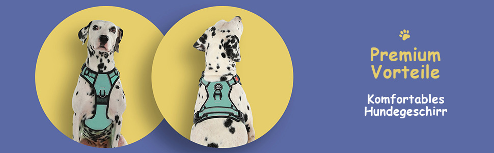 Нашийник від тягнення для собак Furryfection, для цуценят та маленьких собак, безпечний, відбиваючий, для дресирування, (Турквіс, M)