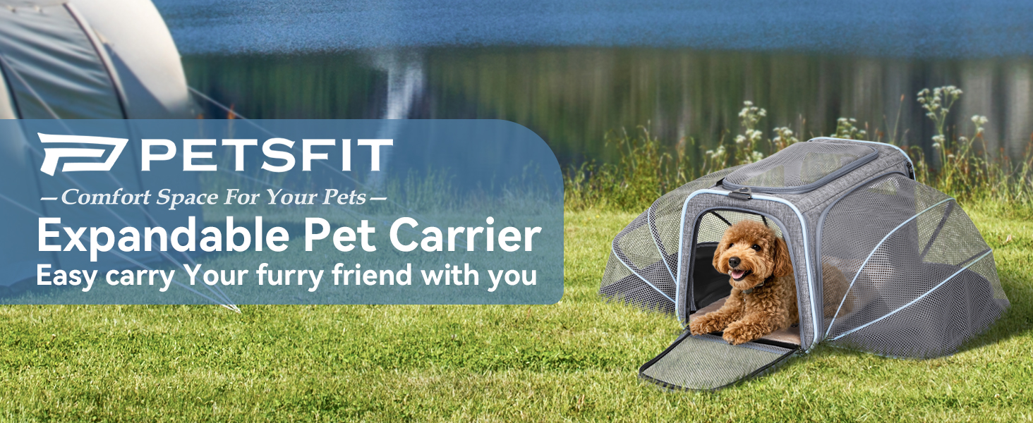 Транспортна переноска для кота/собаки Petsfit - складана переноска для авто, сіра, M