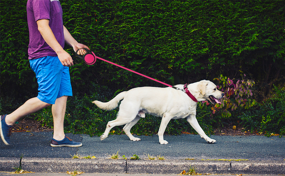 Висувна поводок для собак Taglory, 5м, рожевий, для середніх та великих собак до 45 кг, з надійним гальмом та антиковзним ручками