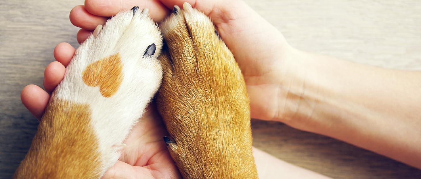 Футляр для корму funPETic з силіконовою мискою та кишеньками для ласощів, 4 відділення, карабін, для собак та коней