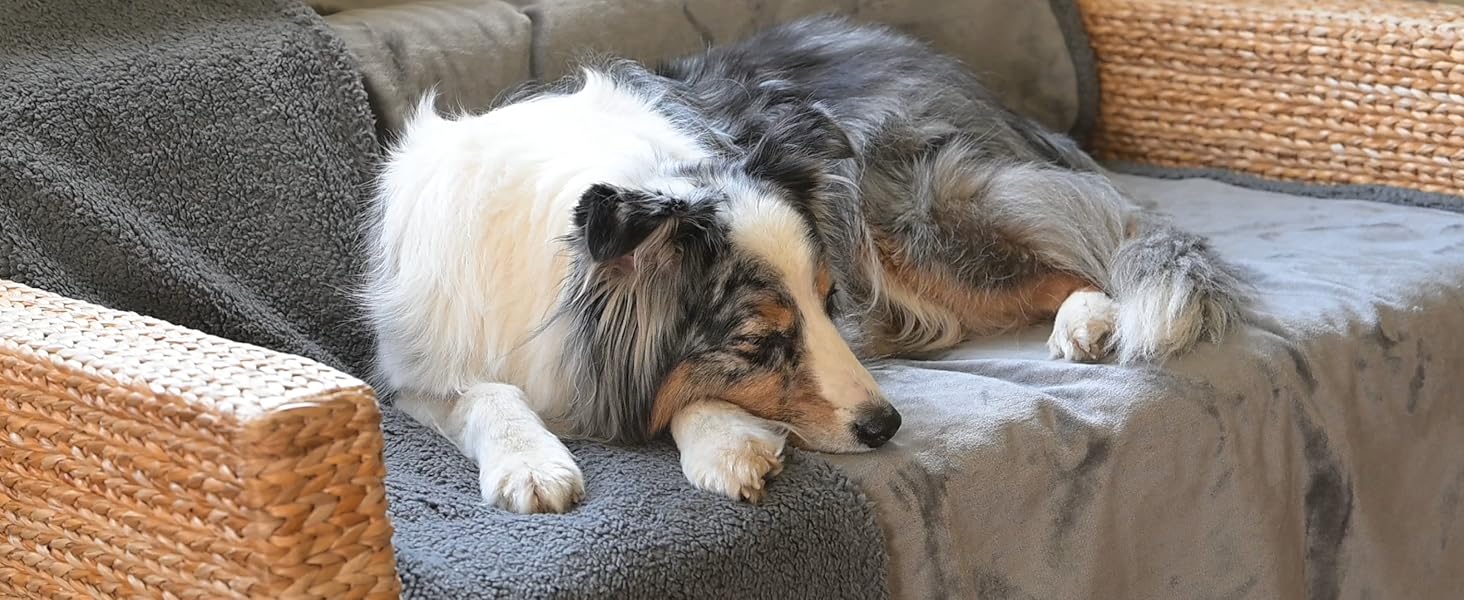 Водонепроникний килимок для собак 150x160 см | Практичний, для подорожей, авто, дивану | Легкий, зручний, миється | 150x160 см