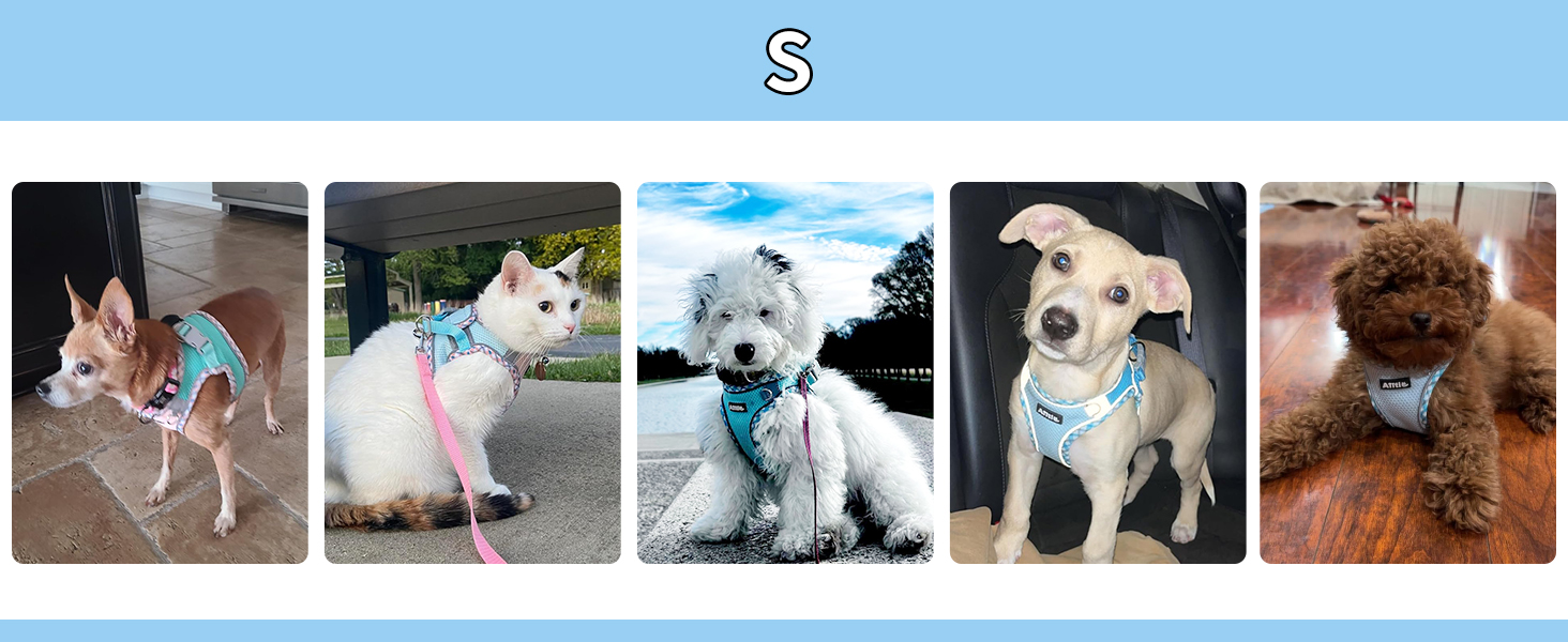 Нашийник та поводок для собак: комплект для прогулянок, нашийник для навчання цуценят, м'який дихаючий аксесуар для домашніх тварин, світловідбиваючі смуги, для дуже маленьких собак та котів, блакитно-рожевий, XXXS