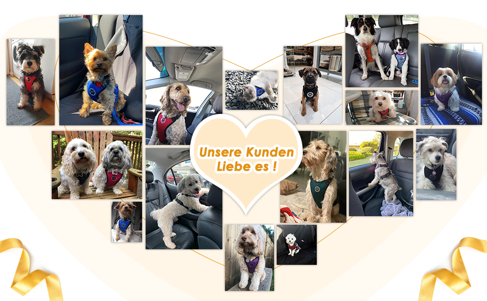 Шлейка для собак SlowTon з кріпленням для автомобіля, дихаюча, з 2 карабінами, чорна, розмір S