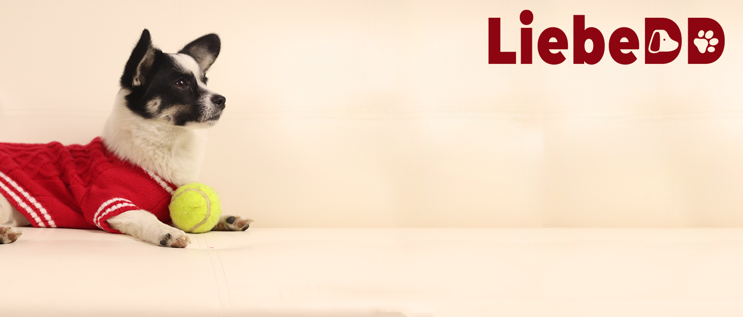 Нашийник для собак LiebeDD чорний XL - комфортний, з ручкою, анти-тяга, для собак середніх розмірів