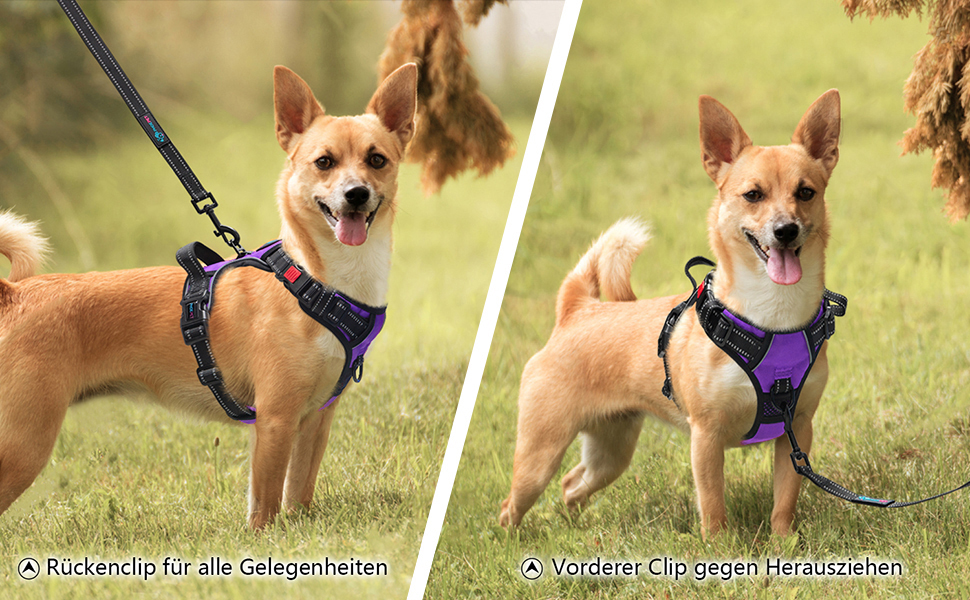Шлейка для собак PHOEPET регульована, для прогулянок, з карабіном, світловідбиваючими смугами, ручкою, для собак середніх та великих порід (M, фіолетовий)