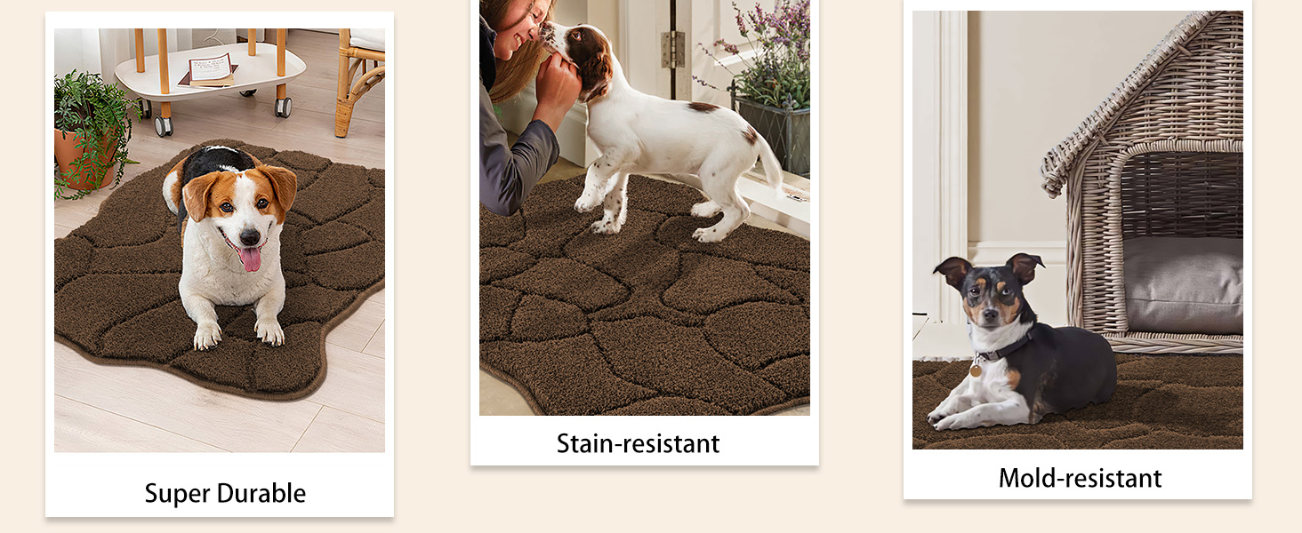 Килимок для дому 50x80 см, антиковзаючий, миючий, для входу, саду, тераси (коричневий)