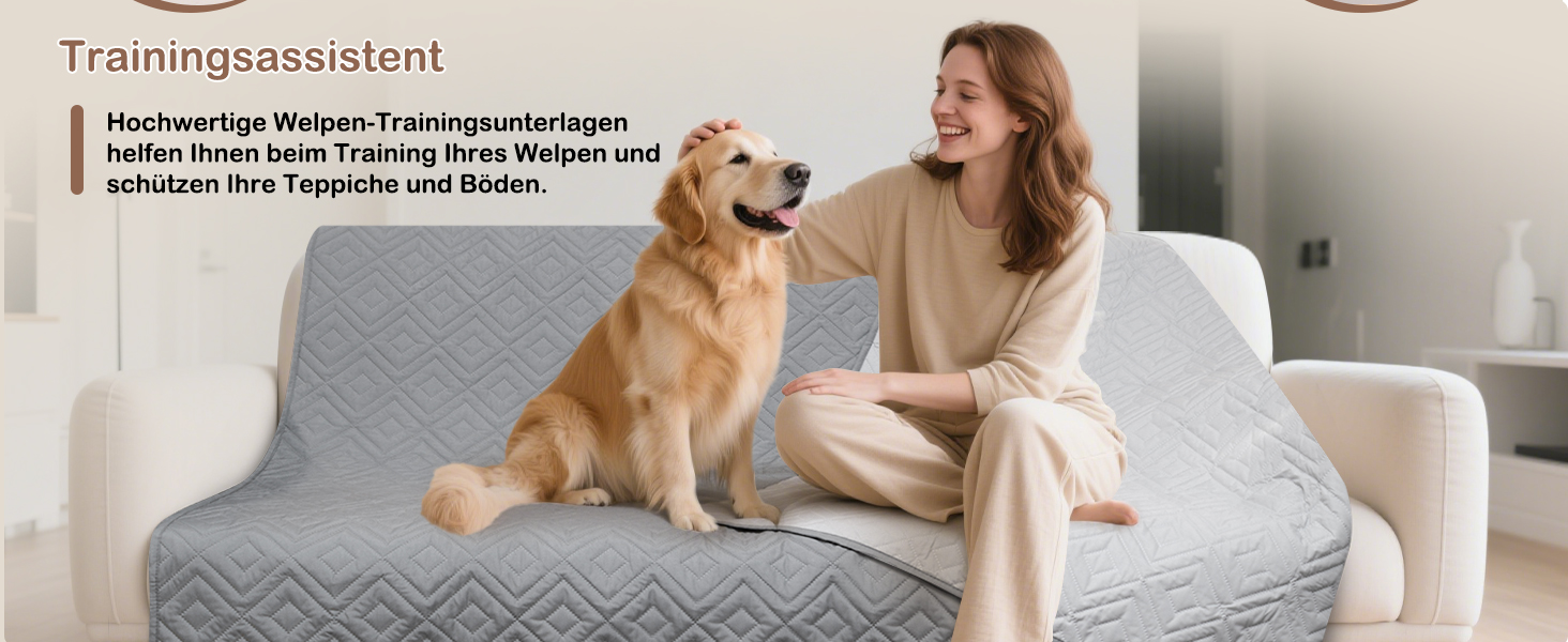 Водонепроникний килимок для собак GYURO, двосторонній, міцний, для дивану та ліжка, можна прати, для собак та котів (77*178CM, 208*208CM), сірий