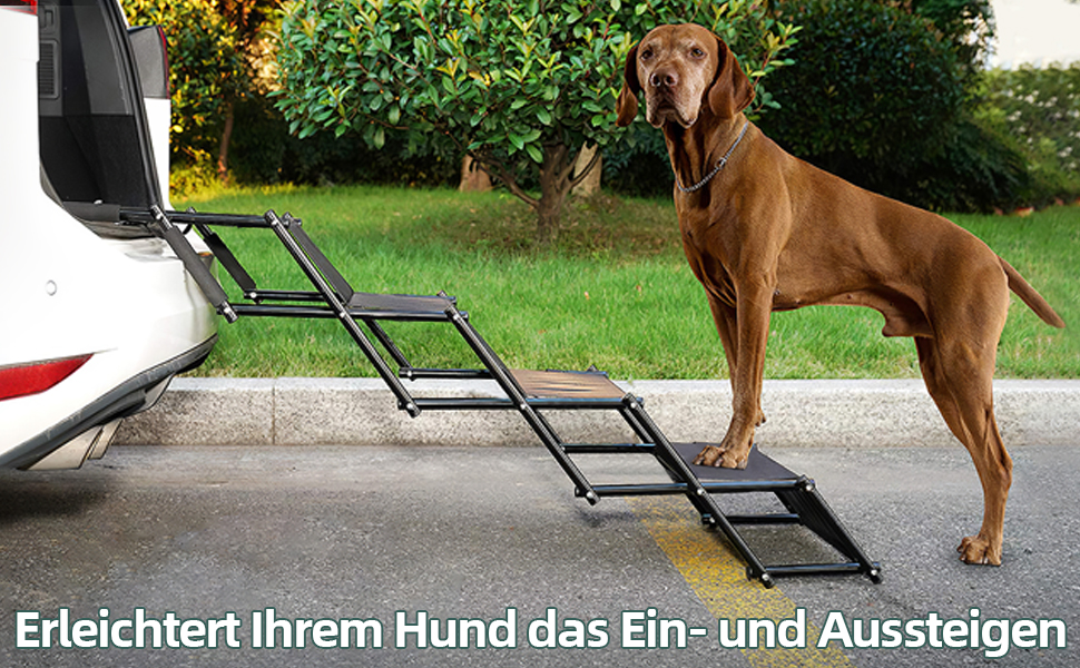 Folding Dog Ramp for Cars - 4 Step Pet Staircase, Up to 80kg, Black - Gentle on Joints